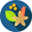 Spice icon 64x64