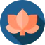 Lotus icon 64x64