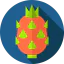 Pitaya icon 64x64