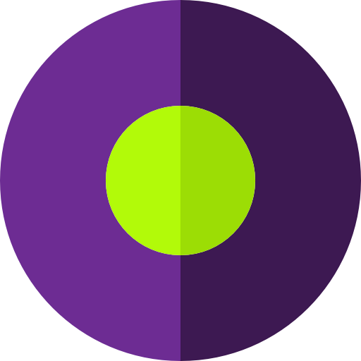 Rec icon