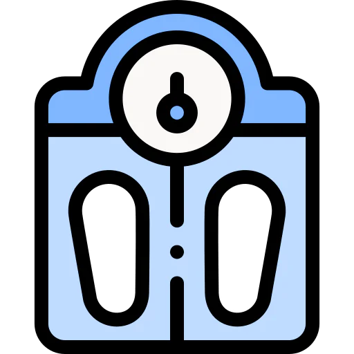 Scale icon