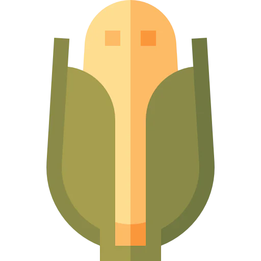 Corn icon
