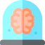 Brain icon 64x64
