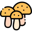 Mushrooms icon 64x64
