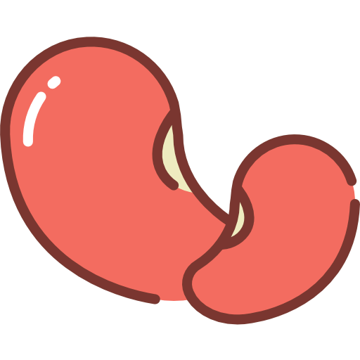 Beans icon
