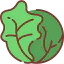 Cabbage Ikona 64x64