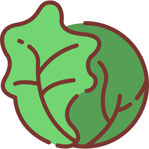 Cabbage icon
