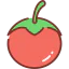 Tomato icon 64x64