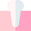 Premolar アイコン 64x64