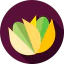 Pistachio icon 64x64
