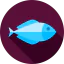 Fish icon 64x64