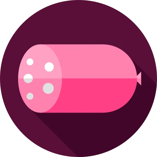 Salami icon