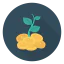 Growth icon 64x64