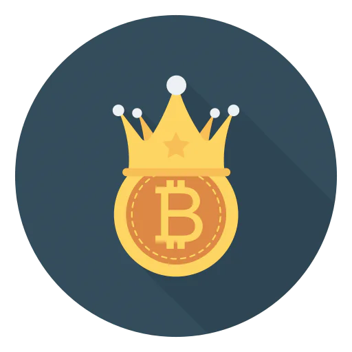 Bitcoin 图标