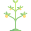 Plant 图标 64x64