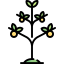 Plant 图标 64x64