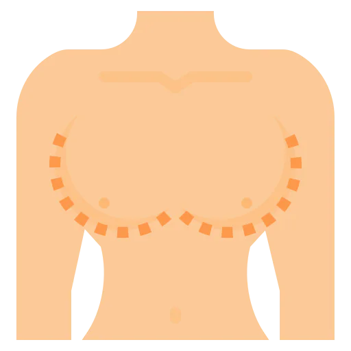Breasts icon