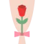 Rose 图标 64x64
