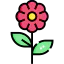 Flower icon 64x64