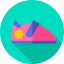 Shoe icon 64x64