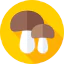 Mushrooms biểu tượng 64x64