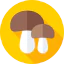 Mushrooms icon 64x64