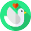 Dove biểu tượng 64x64