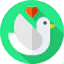 Dove icon 64x64