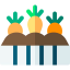 Carrots icon 64x64