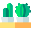 Cactus ícono 64x64