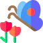 Butterfly icon 64x64