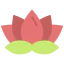 Lotus іконка 64x64