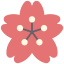 Sakura іконка 64x64