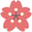 Sakura Symbol 64x64