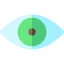 Eye Ikona 64x64