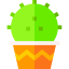 Cactus icon 64x64