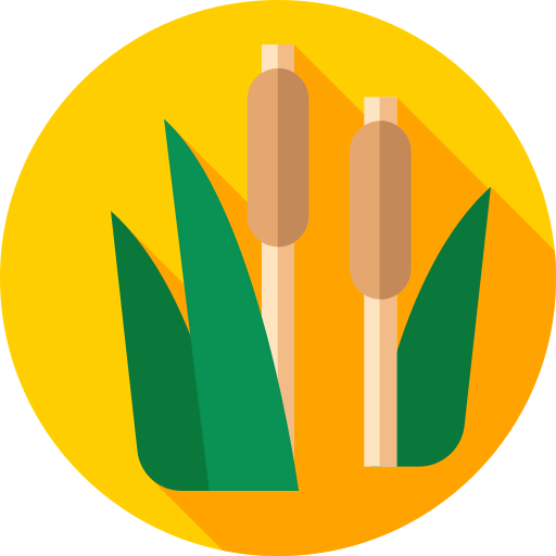 Typha icon