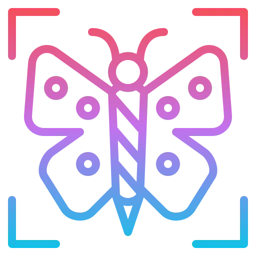 Macro icon