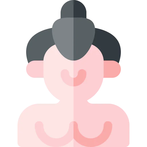 Sumo icon