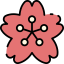 Sakura icône 64x64