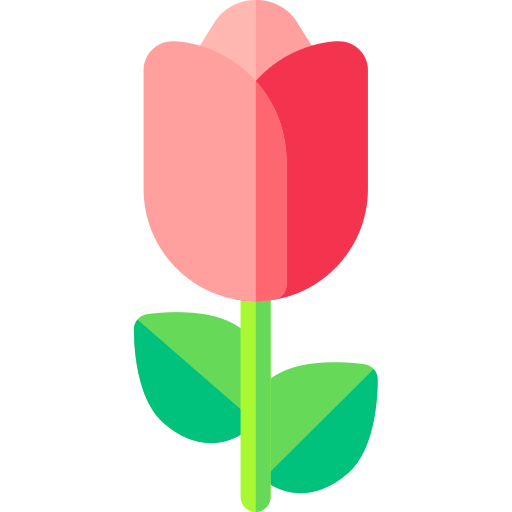Rose icône