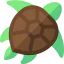 Turtle icon 64x64