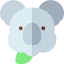 Koala 图标 64x64