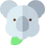 Koala icône 64x64