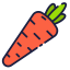Carrot icône 64x64