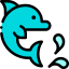 Dolphin アイコン 64x64