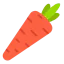 Carrot icon 64x64
