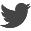 Twitter Logo 상 64x64