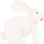 Rabbit アイコン 64x64