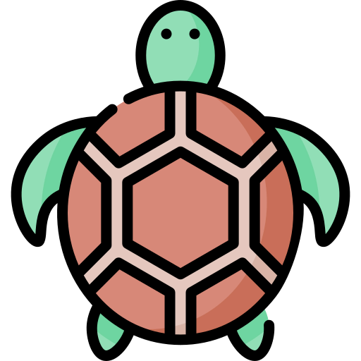 Turtle 图标